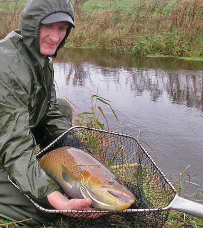elfisk2005-1 elfisk2005-1