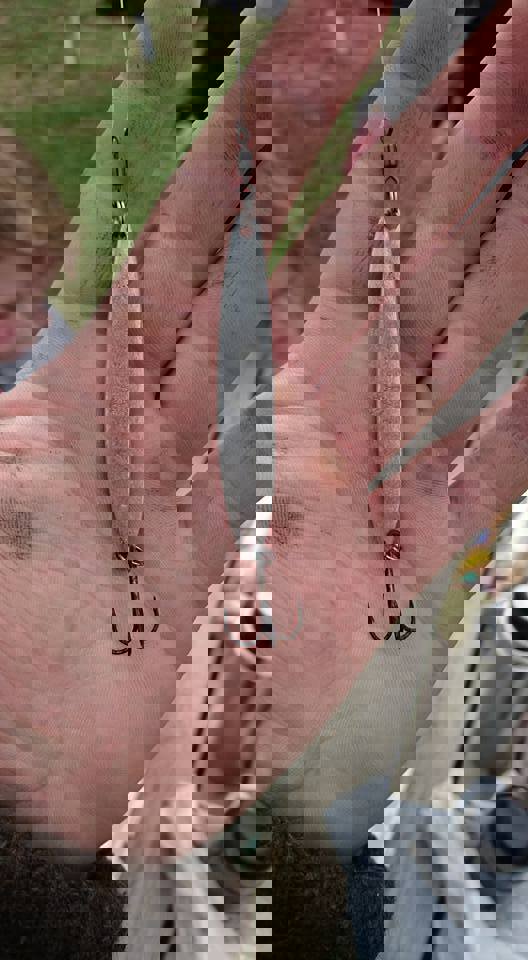 12998504_10153381207732136_1227546625956769223_n